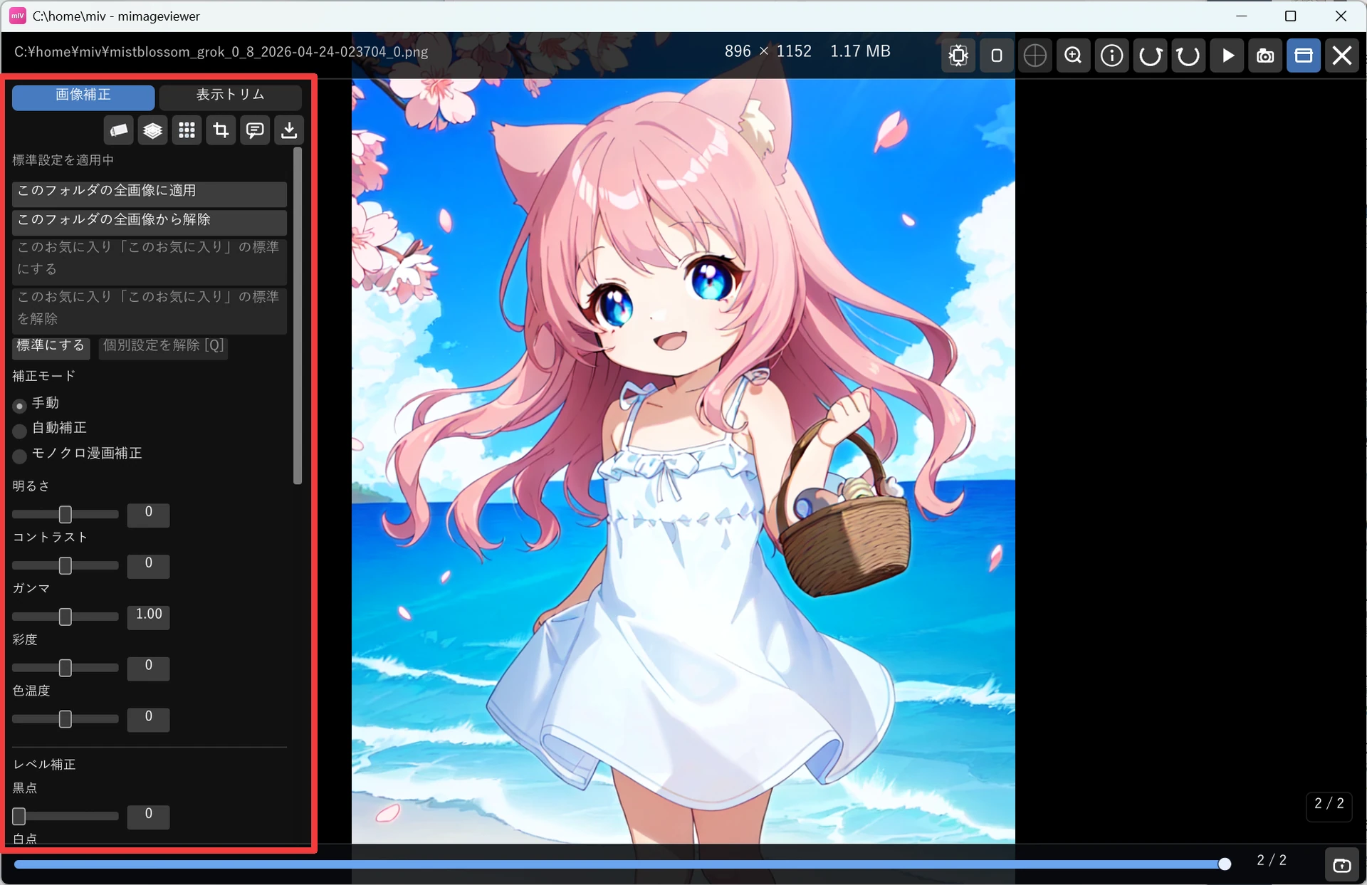 フルスクリーン左端に表示された画像補正パネル。上部に「画像補正」「表示トリム」タブ、フォルダ適用ボタン、補正モードのラジオ、明るさ・コントラスト・ガンマ・彩度・色温度・レベル補正のスライダーが並んでいる