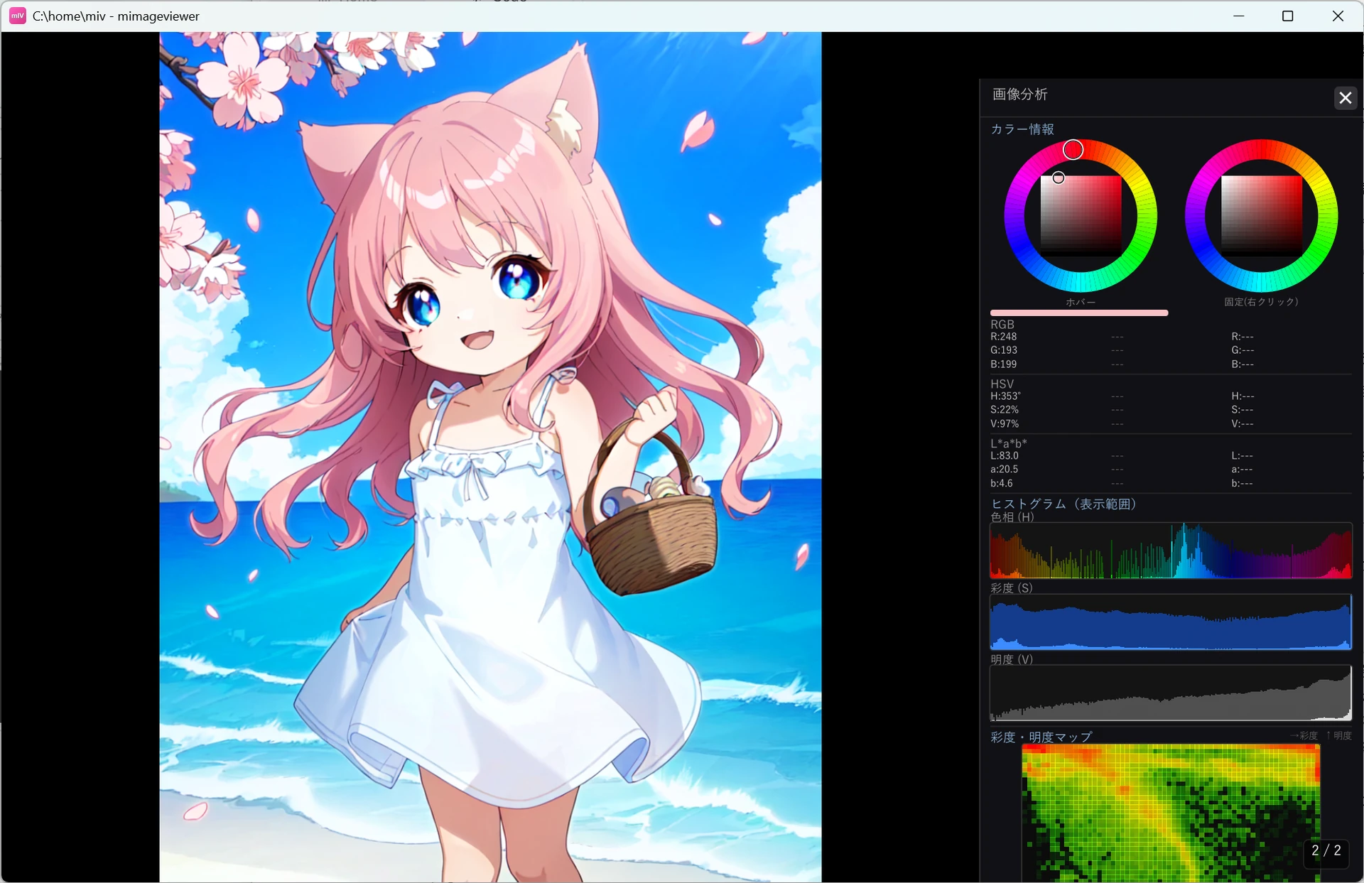 画像分析モードの全体画面。右のパネルにカラー情報（ホバー色と固定色のカラーホイール、RGB / HSV / L*a*b* の数値）、色相・彩度・明度のヒストグラム、彩度・明度マップが縦に並んでいる